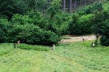 201307060837-AJS_4074.jpg